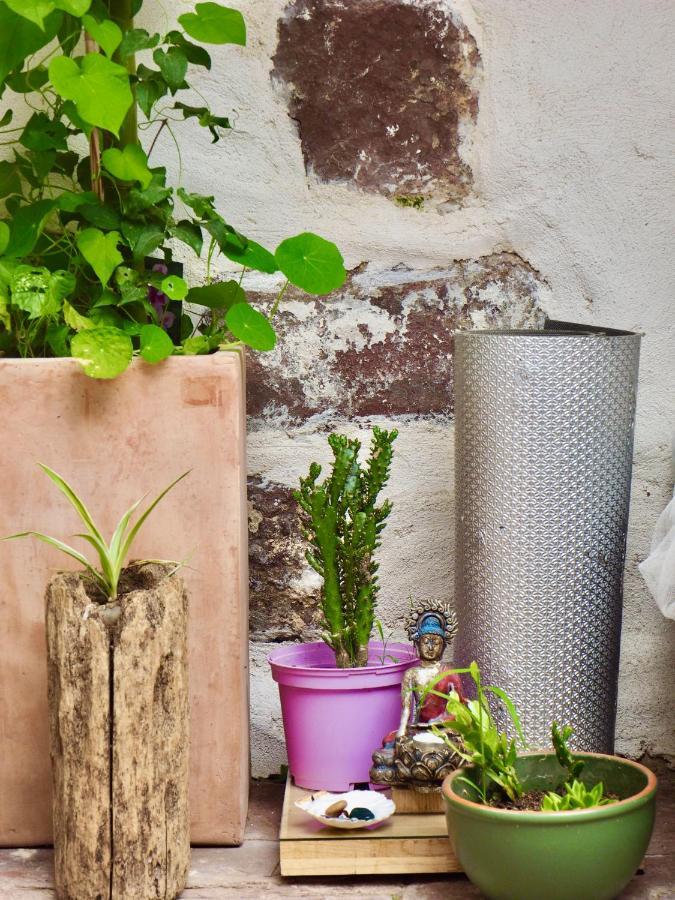 Studio Camino Real Saint-Jean-Pied-de-Port Bagian luar foto